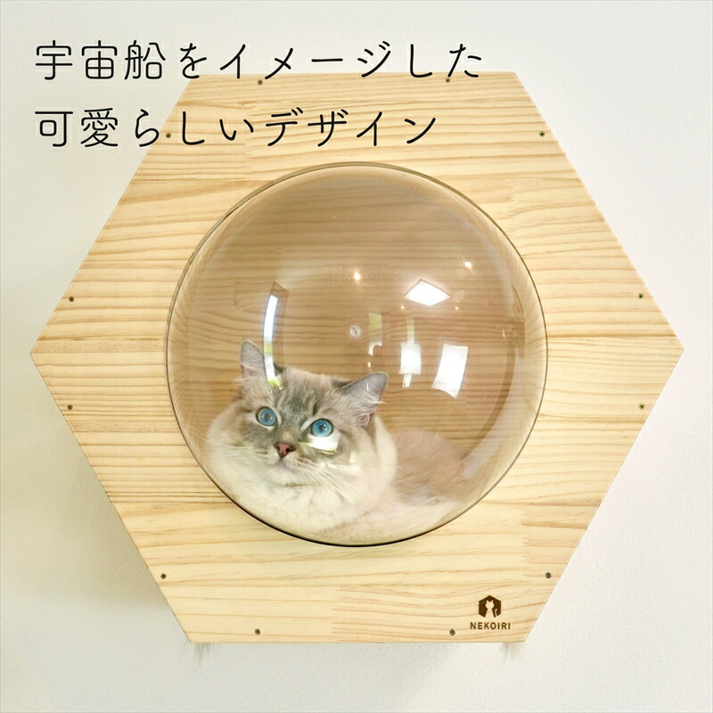 楽天市場】壁掛け キャットステップ 六角ヘキサゴン 穴あけ不要 完成品