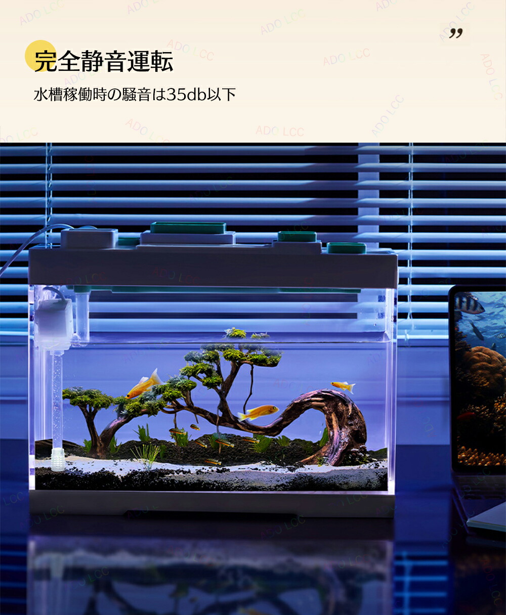 中型ガラス水槽 LEDライト付き