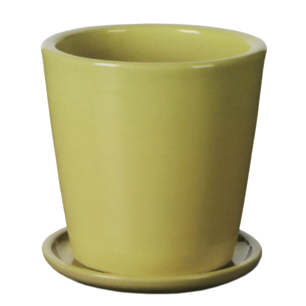 楽天市場】植木鉢 大型 受け皿付き おしゃれ 人気 プランター 観葉植物