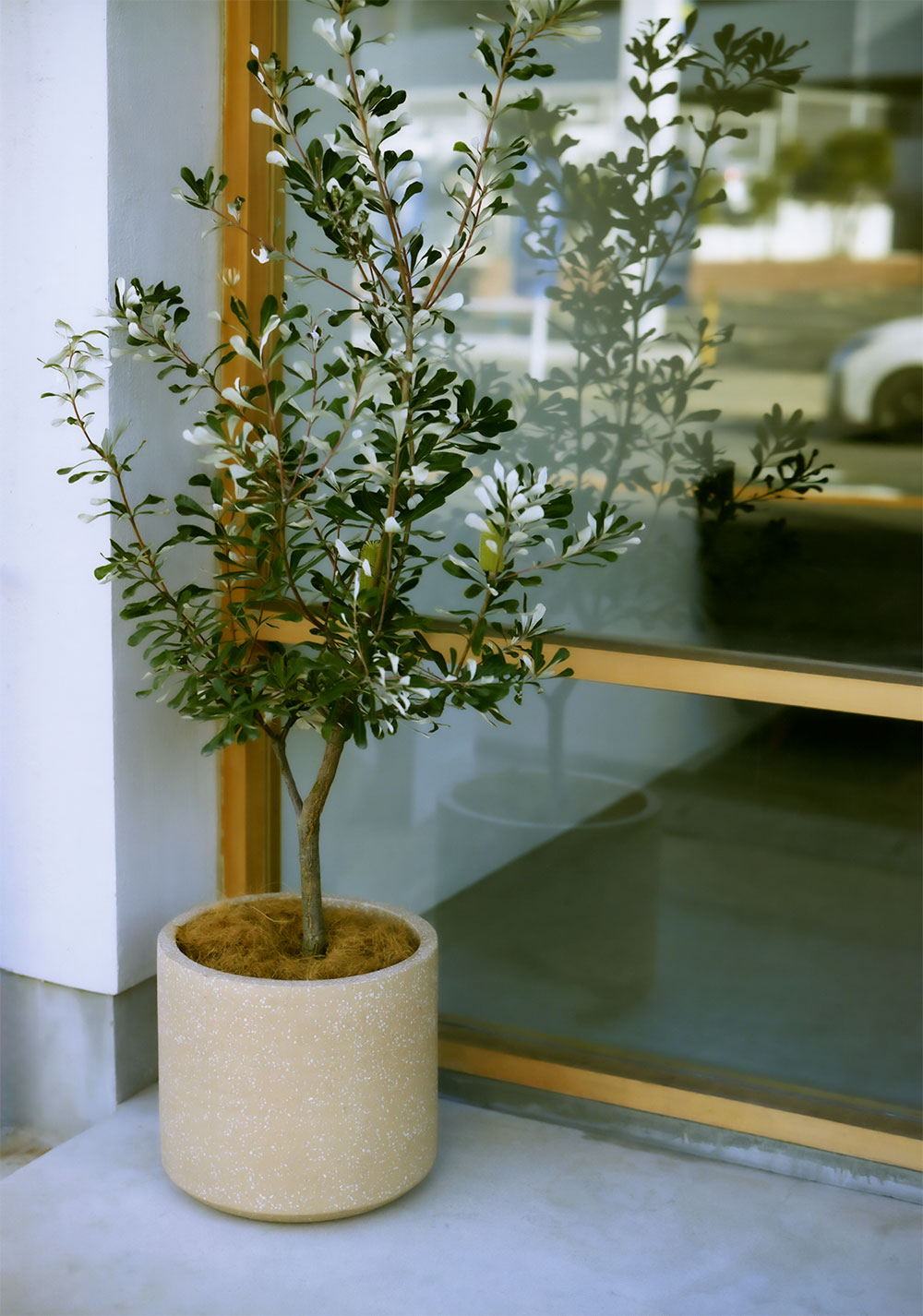 植木鉢andソーサー✳︎POT観葉植物✳︎園芸プランター