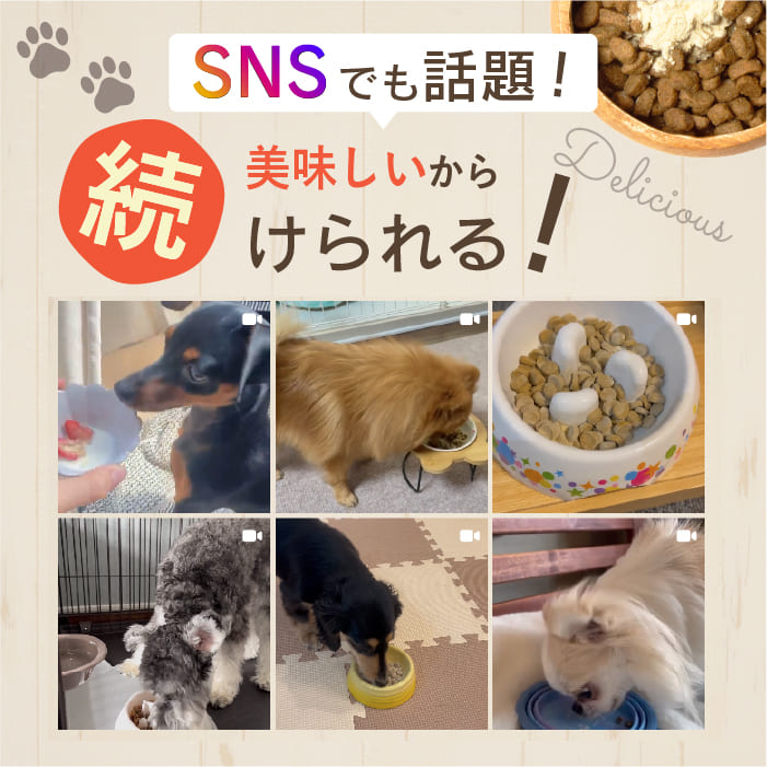 楽天市場】【エントリーでポイント10倍】 aikona あいこな アイコナ