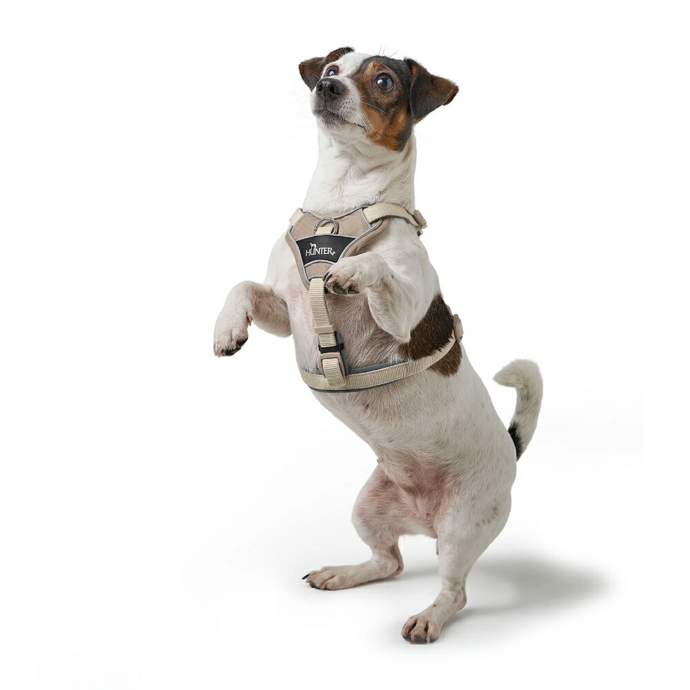 HUNTER ハーネス 小型犬 DIVO XS HUNTER ハーネス 小型犬 DIVO XS