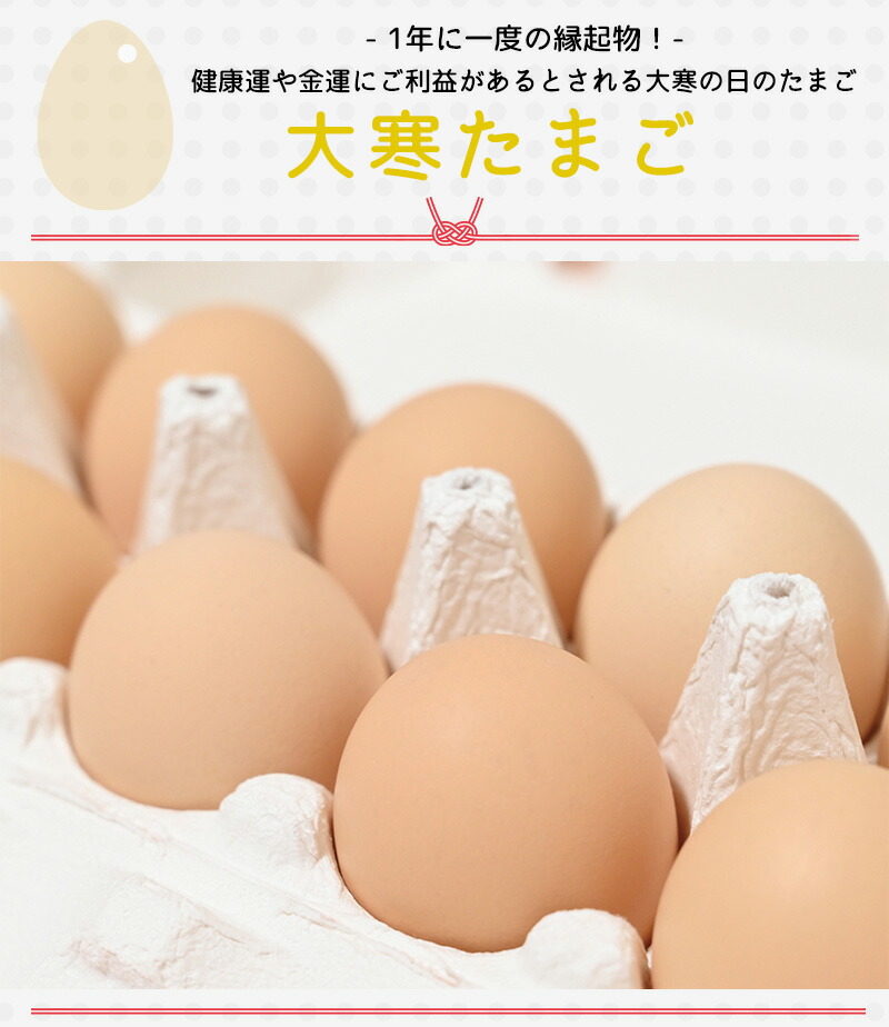 楽天市場】【ポイント2倍】期間限定販売 出雲ファーム 2026年 大寒