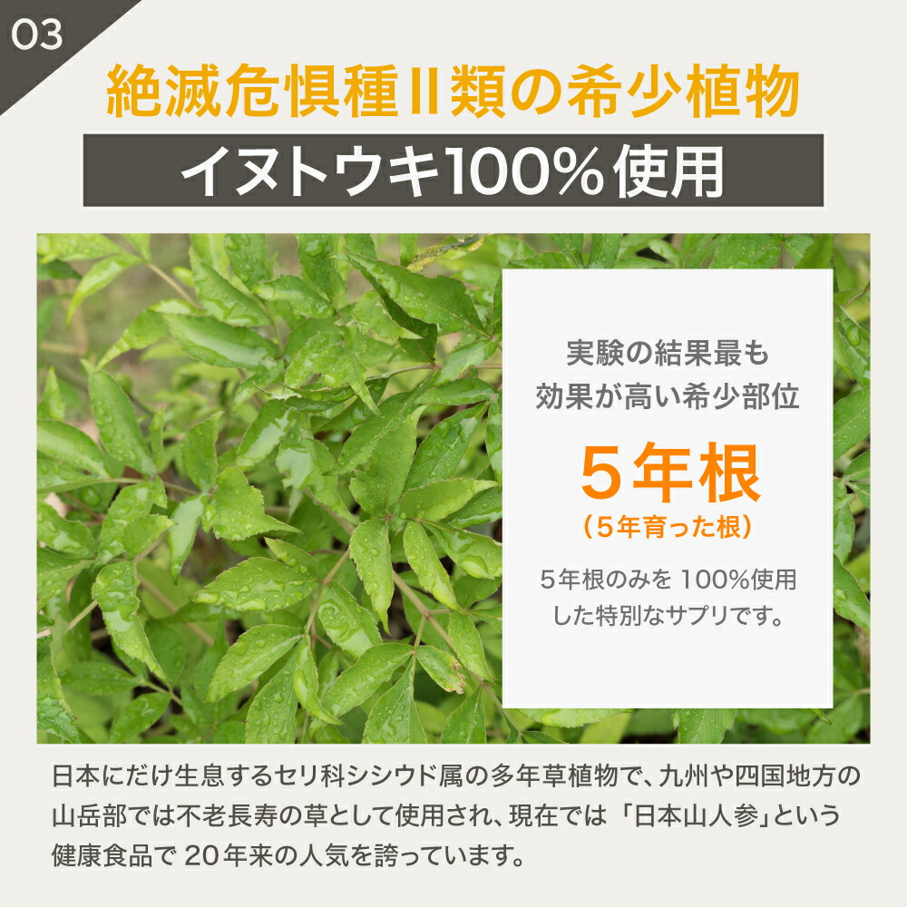 楽天市場】5歳からのケア 『JINパワー100』 イヌトウキ 犬 猫 腎臓