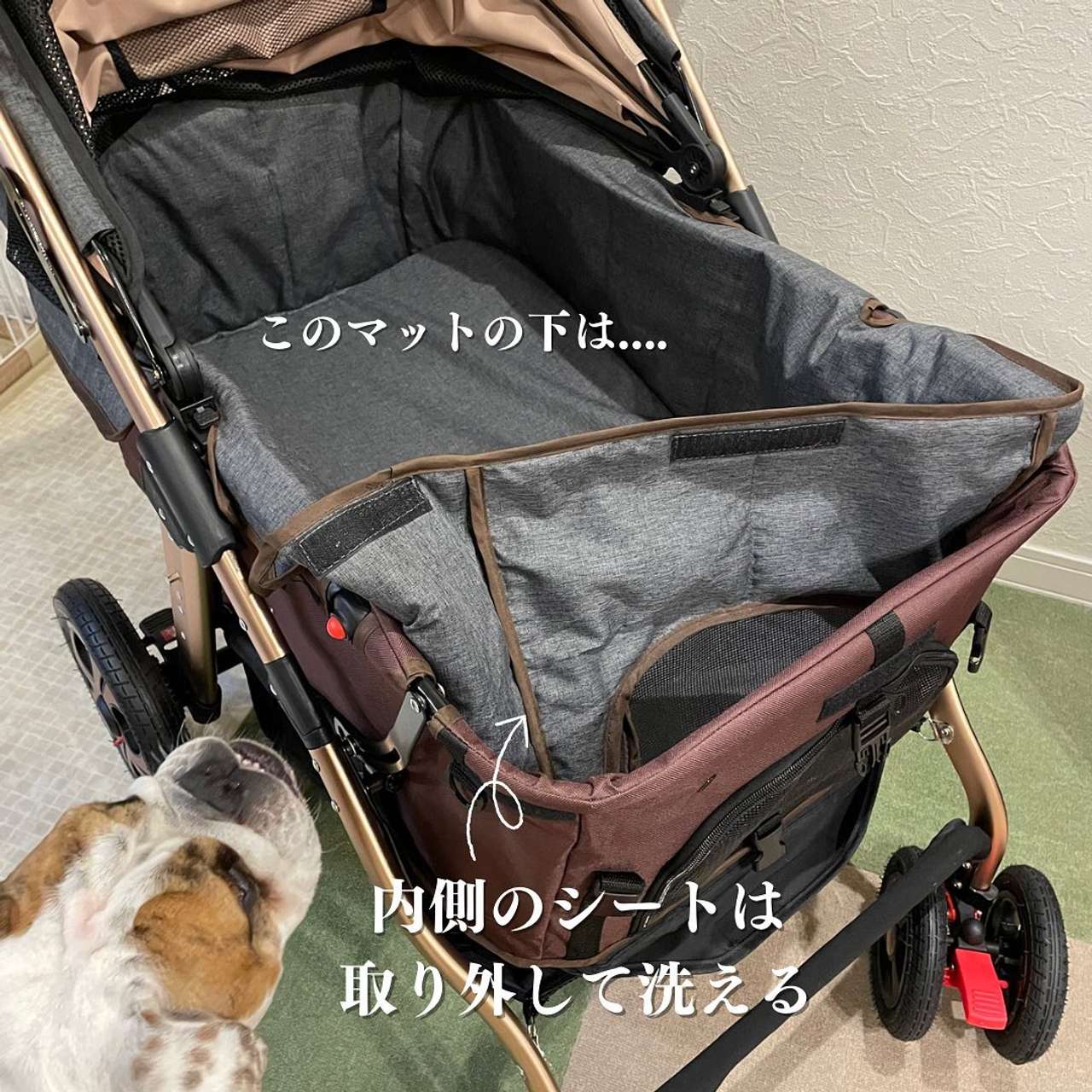 ALLWANPREMIUM 耐荷重45kgまでのペットカート 【公式通販】