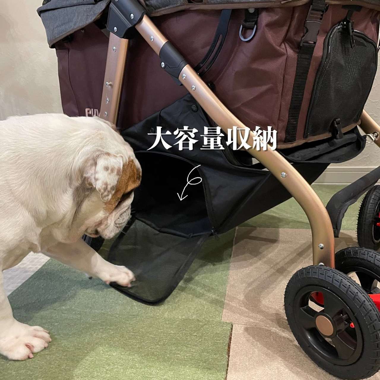 楽天市場】ご予約3月予定 ※大型犬ちゃんにも※大型！耐荷重45kgまでの