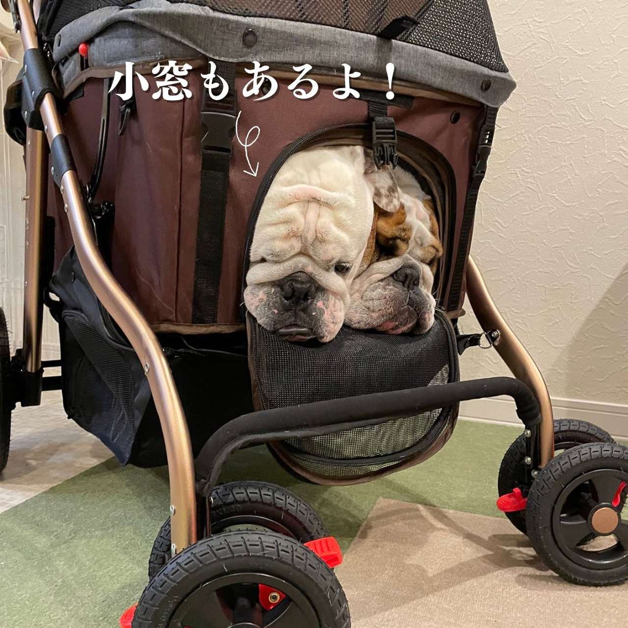 楽天市場】ご予約3月予定※めちゃ人気 大型犬ちゃんにも※大型！耐荷重