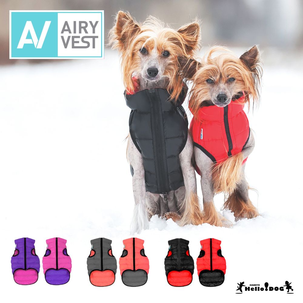 楽天市場】【AiryVest】 エアリーベスト リバーシブルジャケット