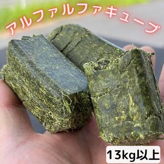 楽天市場】ヘイキューブ（総重量（g）10.0 ～ 19.9）（小動物用品