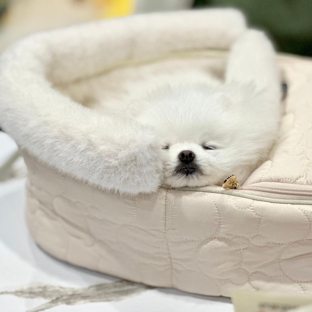 楽天市場】〈ランキング1位〉 ペット ゆりかご 【バシネット SNOW