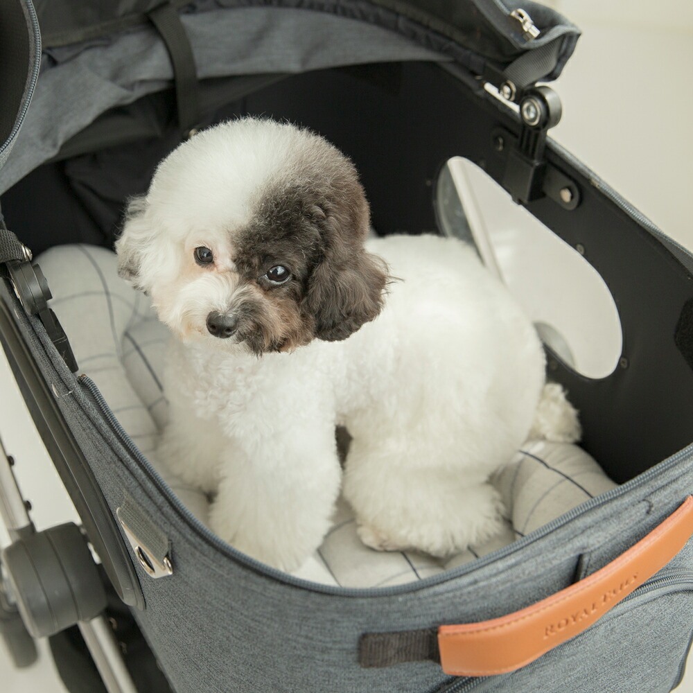 楽天市場】☆全サイズ5％OFF☆ペットカート クッション 【ライナー