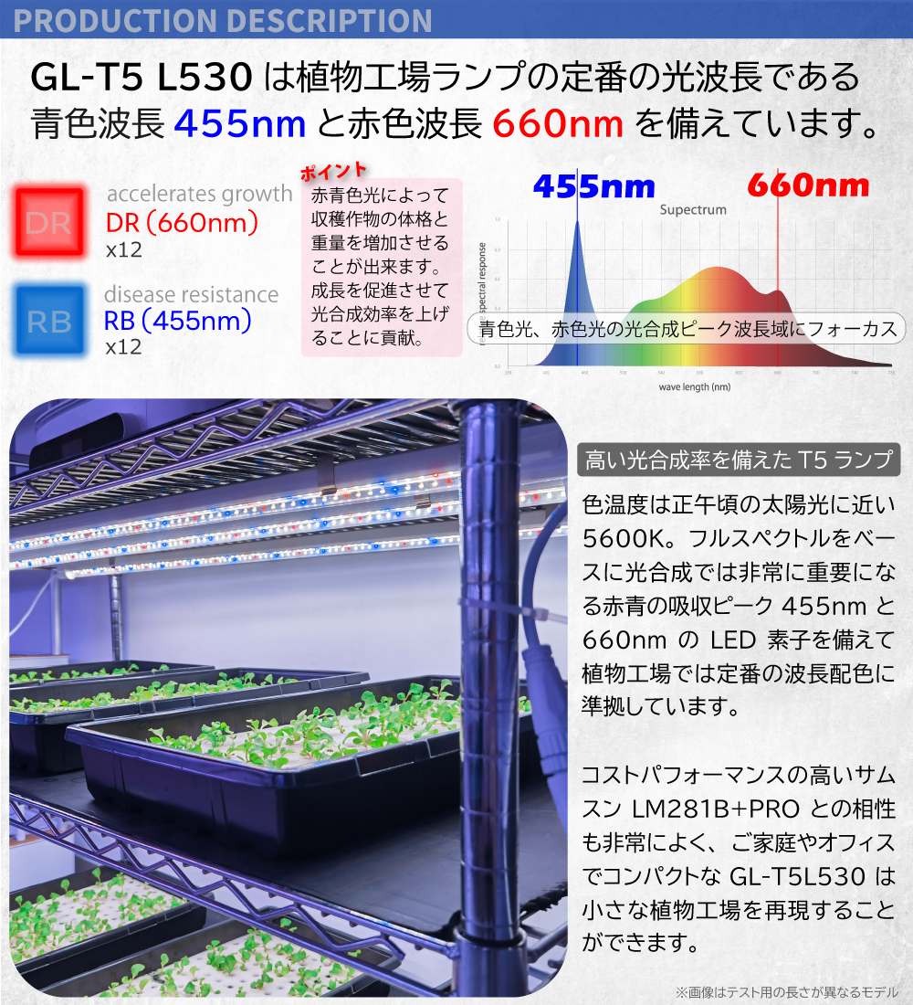 楽天市場】HaruDesign 植物育成ライト GL-T5 L530 18Wx2本 サムスン