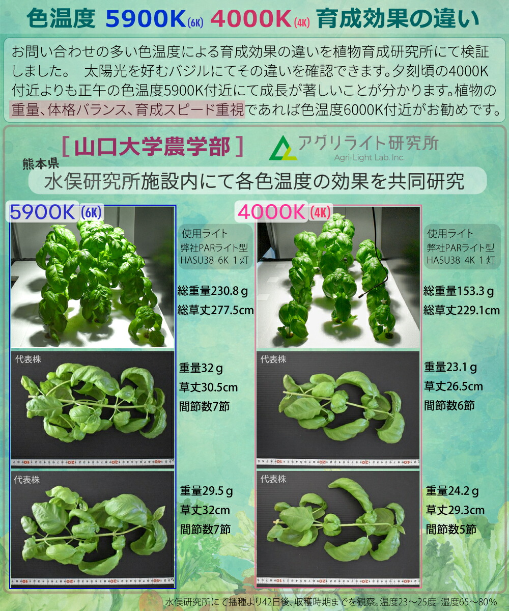 楽天市場】HaruDesign 植物育成ライト GL-A 6K FtW 白色系 5800K