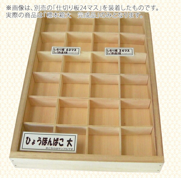 楽天市場】完成品 標本箱大 幅450×奥行320×高さ60mm ディスプレイ 自由
