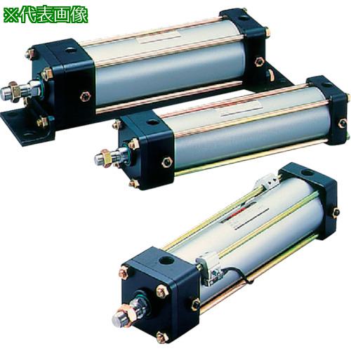 □TAIYO 空気圧シリンダ〔品番:10A2RSD100B250AH2Y〕【8299783:0