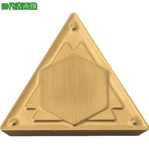 K茶道具 掛軸 「飛雀図」 錦水作 幕末ー明治 配送用桐箱 S191KJ K