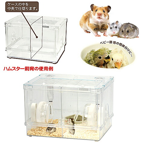 ハムスター シャイニー45