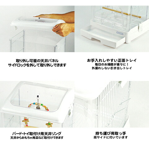 楽天市場】イージーホーム クリアバード 35-WH(ホワイト) : 小動物専門