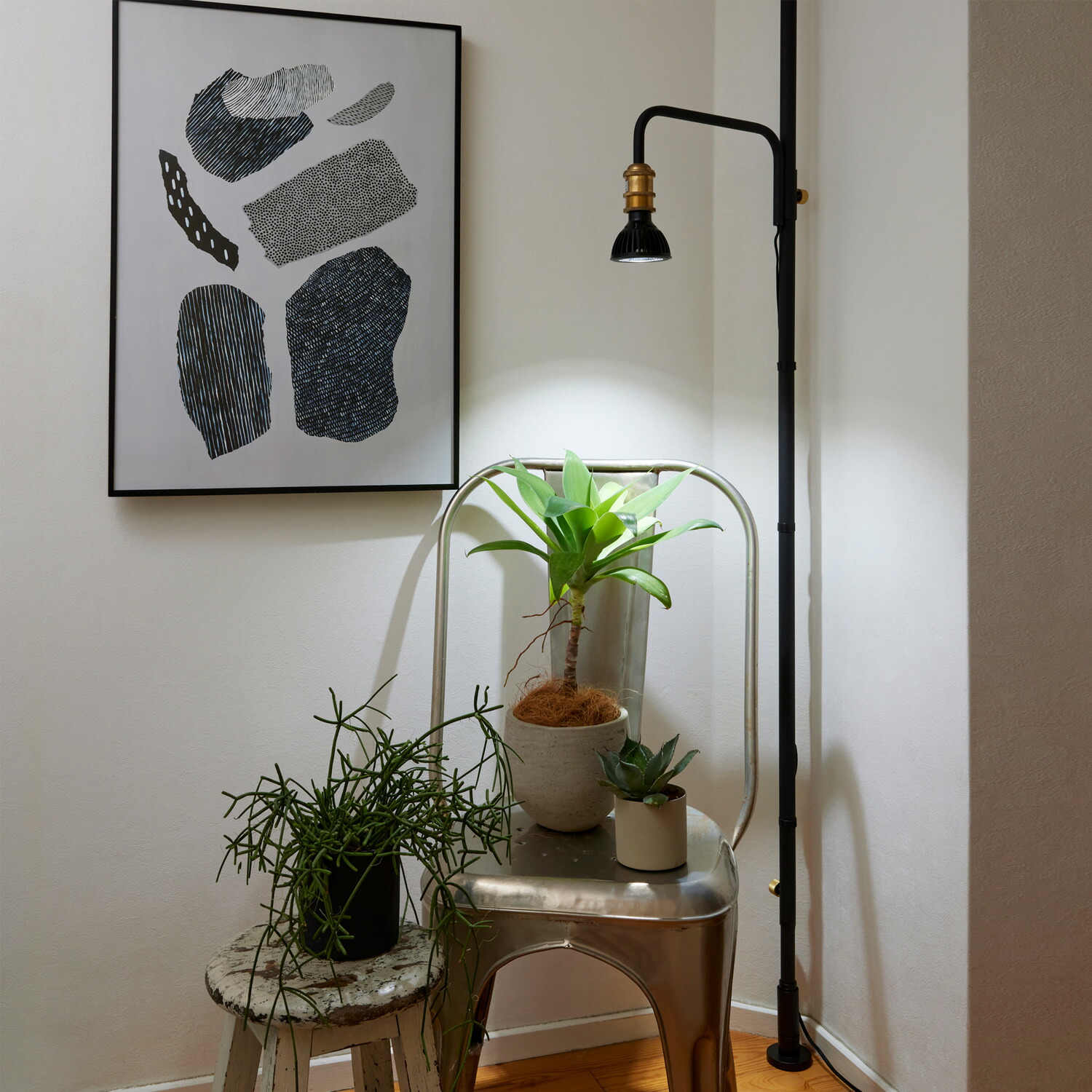 楽天市場】【公式】DRAW A LINE ドローアライン SET ブラック Light