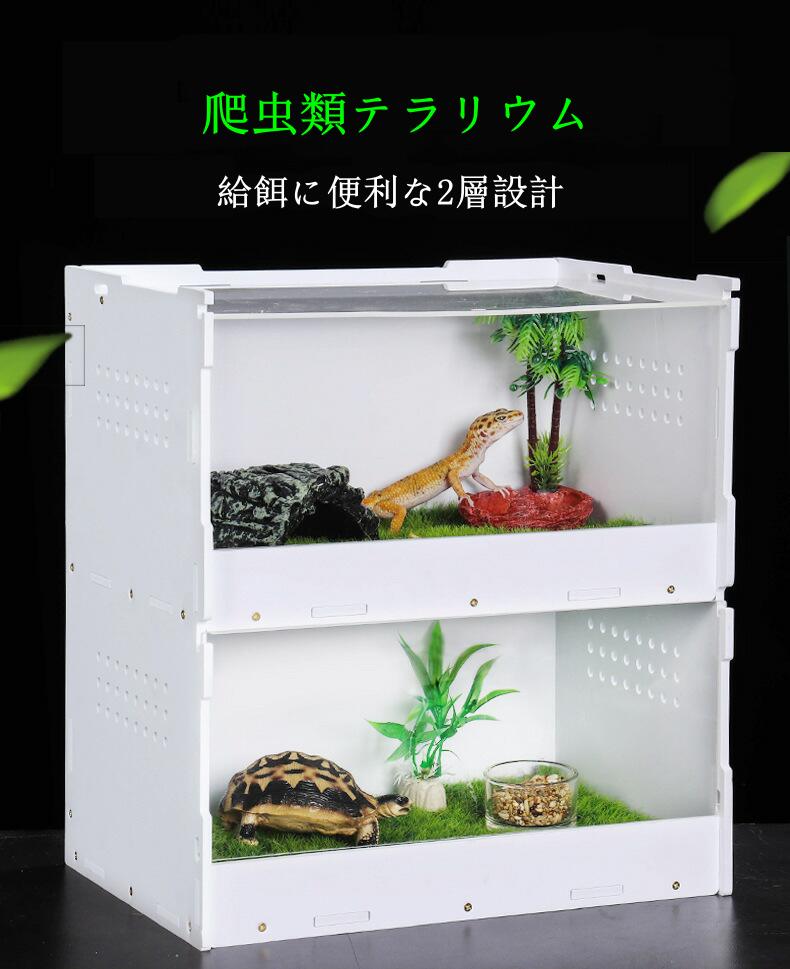楽天市場】マラソンP5倍 爬虫類飼育ケージ 亀トカゲヘビ飼育ボックス