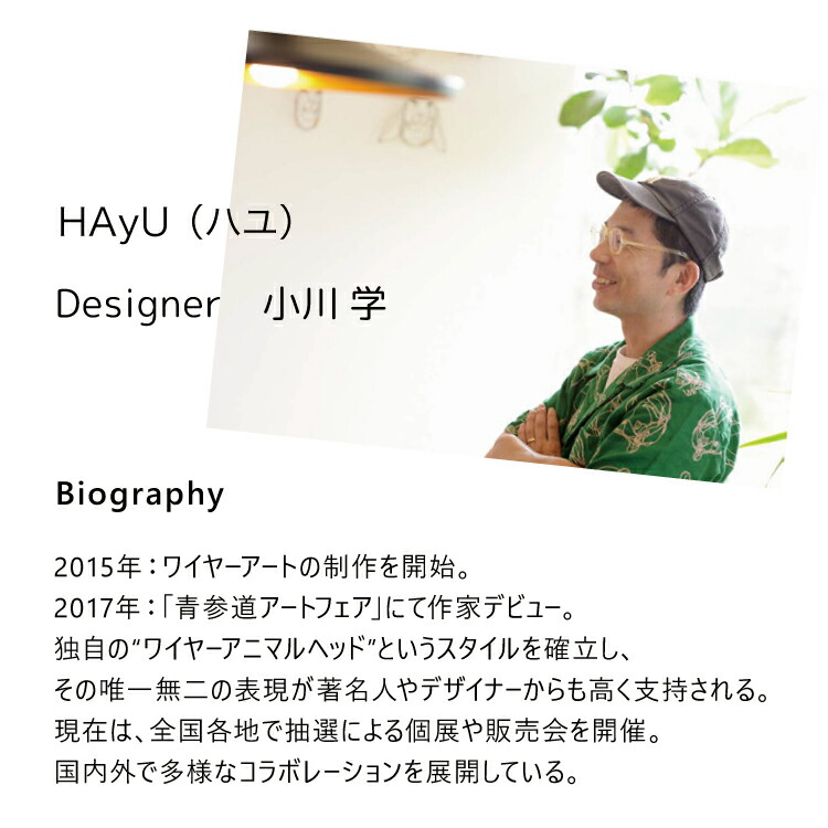 楽天市場】【2月10日 5％OFFクーポン】クッション | HAyU クッション