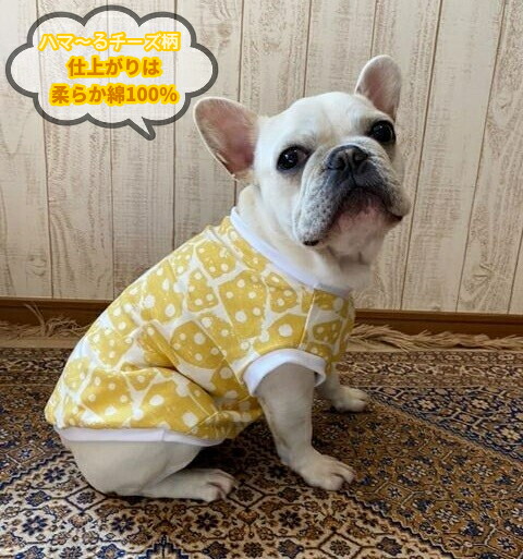 楽天市場】名入れ アメフト ラグラン Tシャツ 犬の洋服 フレンチ