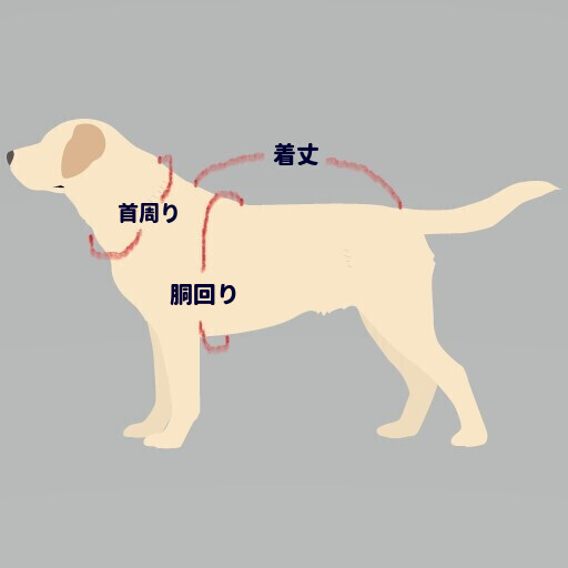 楽天市場】フレンチブルドッグ 服 ムオディカス クッカ 北欧調フラワー