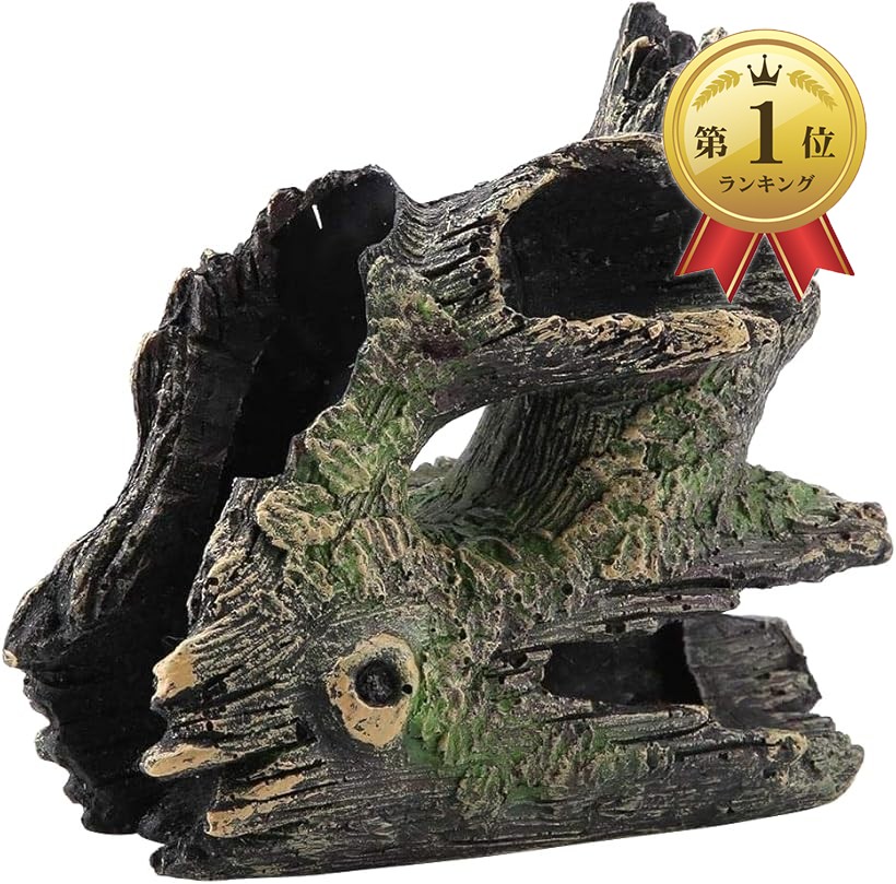 G79 灰汁抜き処理済 流木 爬虫類 両生類シェルター 観葉植物