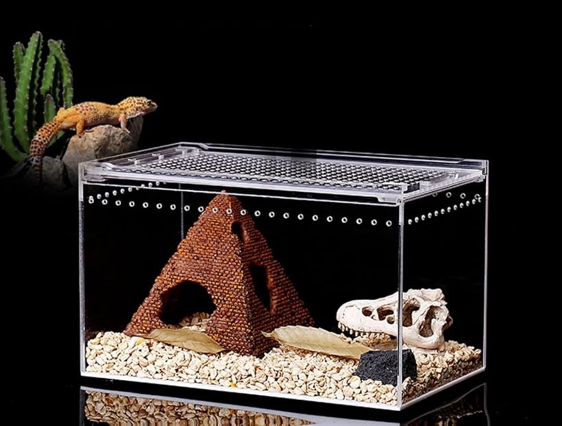 楽天市場】【楽天ランキング1位入賞】爬虫類 ケージ シェルター