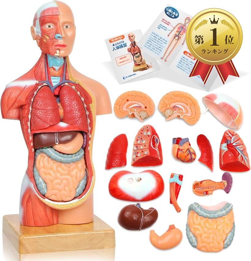 楽天市場】【楽天ランキング1位入賞】ソフトな質感で15分解できる卓上