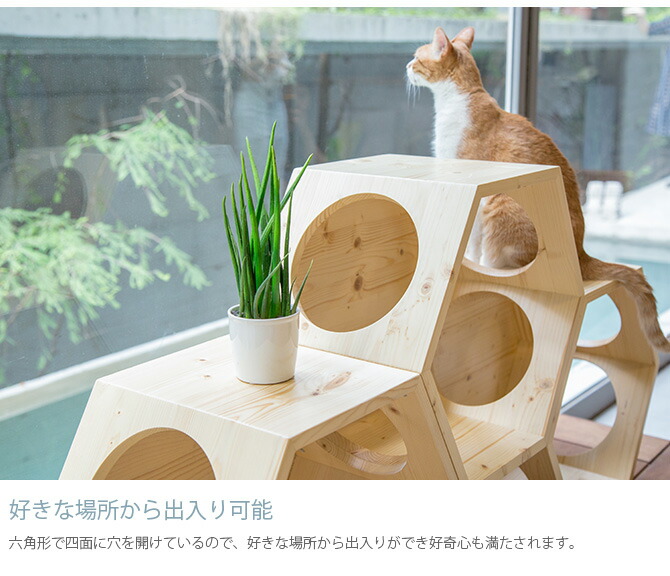 楽天市場】【土日祝も発送】 MYZOO マイズー Busy cat 六角ハウス Wood