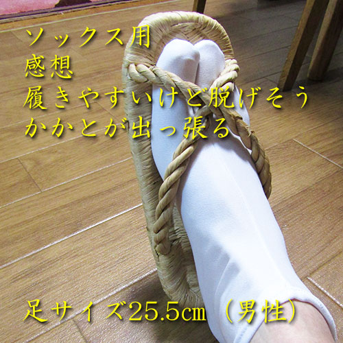 茶道具 霜地草履4足セット