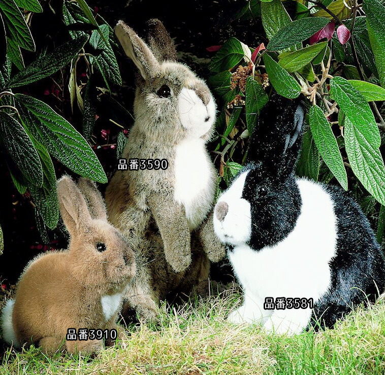 楽天市場】ケーセン ぬいぐるみ うさぎの子 全長25cm リアル 製 高品質