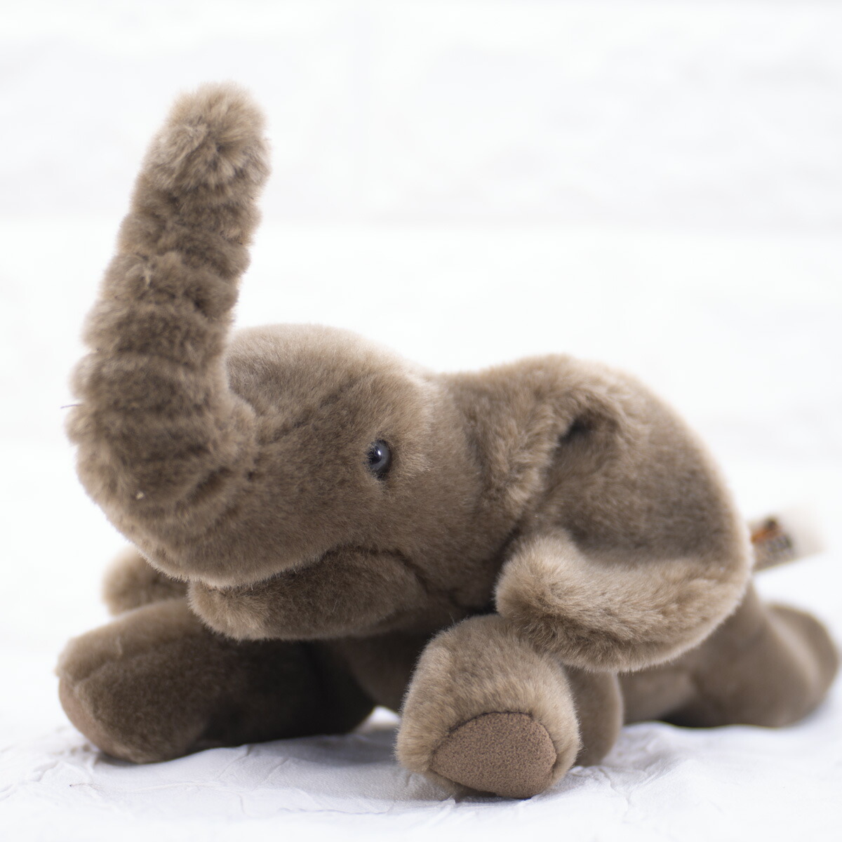 楽天市場】ケーセン ぬいぐるみ Kosen ゾウ 小 寝そべり 27cm Elephant