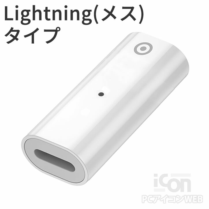 楽天市場】APPLE Pencil用充電コネクタ 2 Appleペンシル端子‐USBタイプ