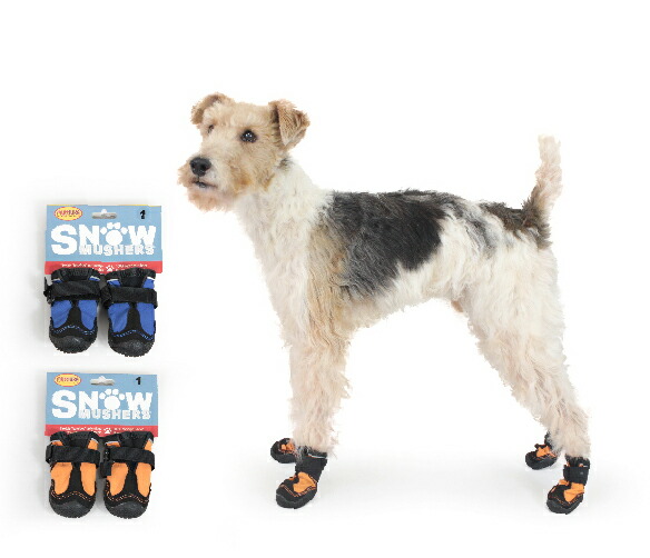 楽天市場】Snow Mushers スノーマッシャーズ : アイコンズ スーパー