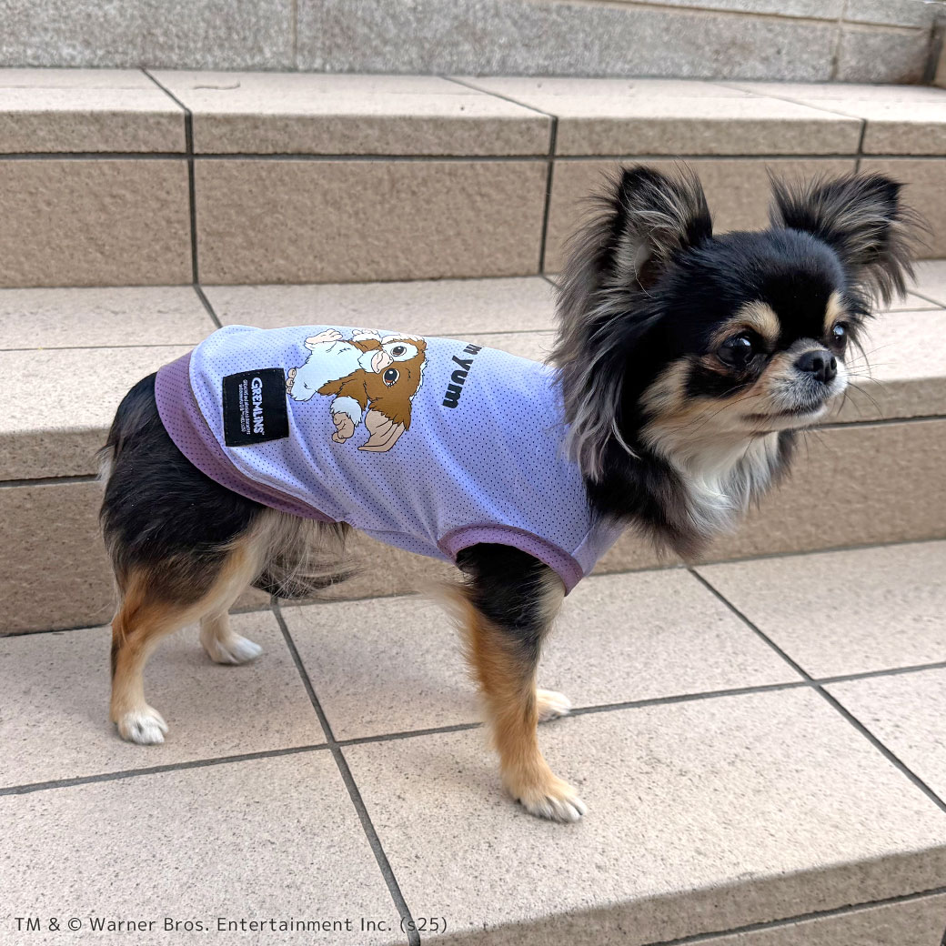 楽天市場】【 防虫 涼感 犬 夏服 】iDog COOL+MOSCAPE GREMLINSギズモ