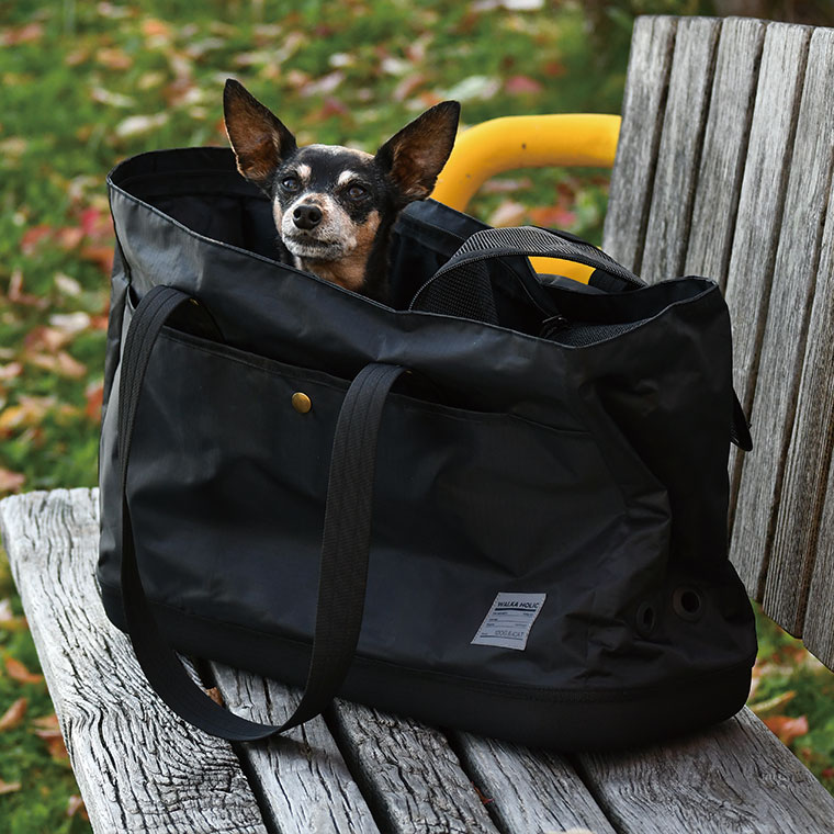 楽天市場】【お買い物マラソン セール ☆15％OFF】【 ペット用