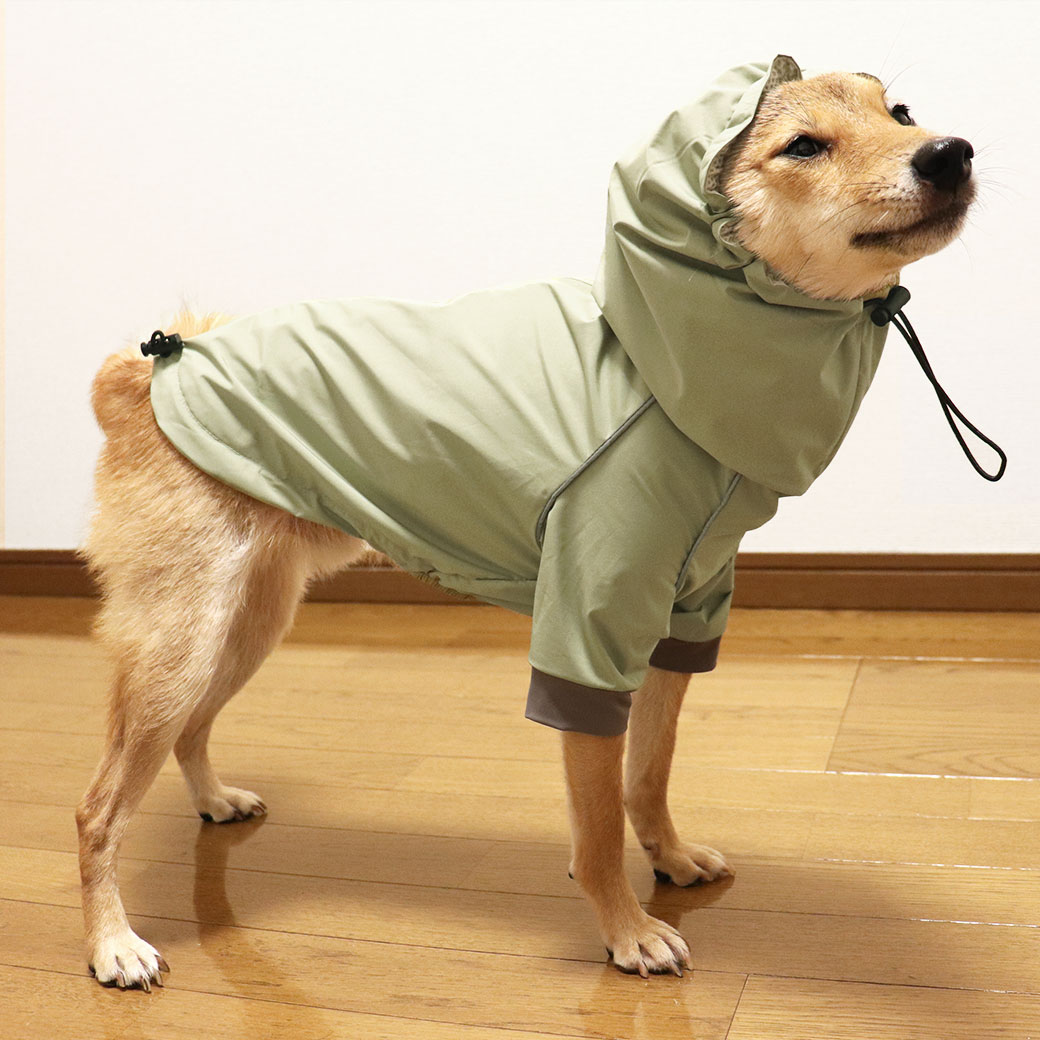 楽天市場】【お買い物マラソン セール ☆40％OFF】【 犬 服 レイン