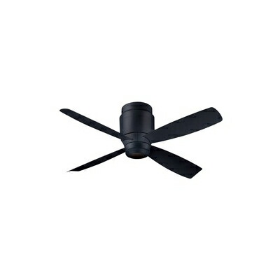 シーリングファン 黒」の人気商品一覧 | 安い商品を通販サイトから探す