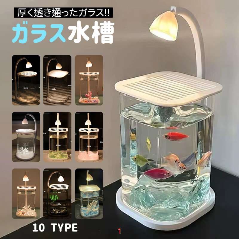 楽天市場】小型水槽 3.6Lコンパクト水槽キット LEDライト付き 水換え