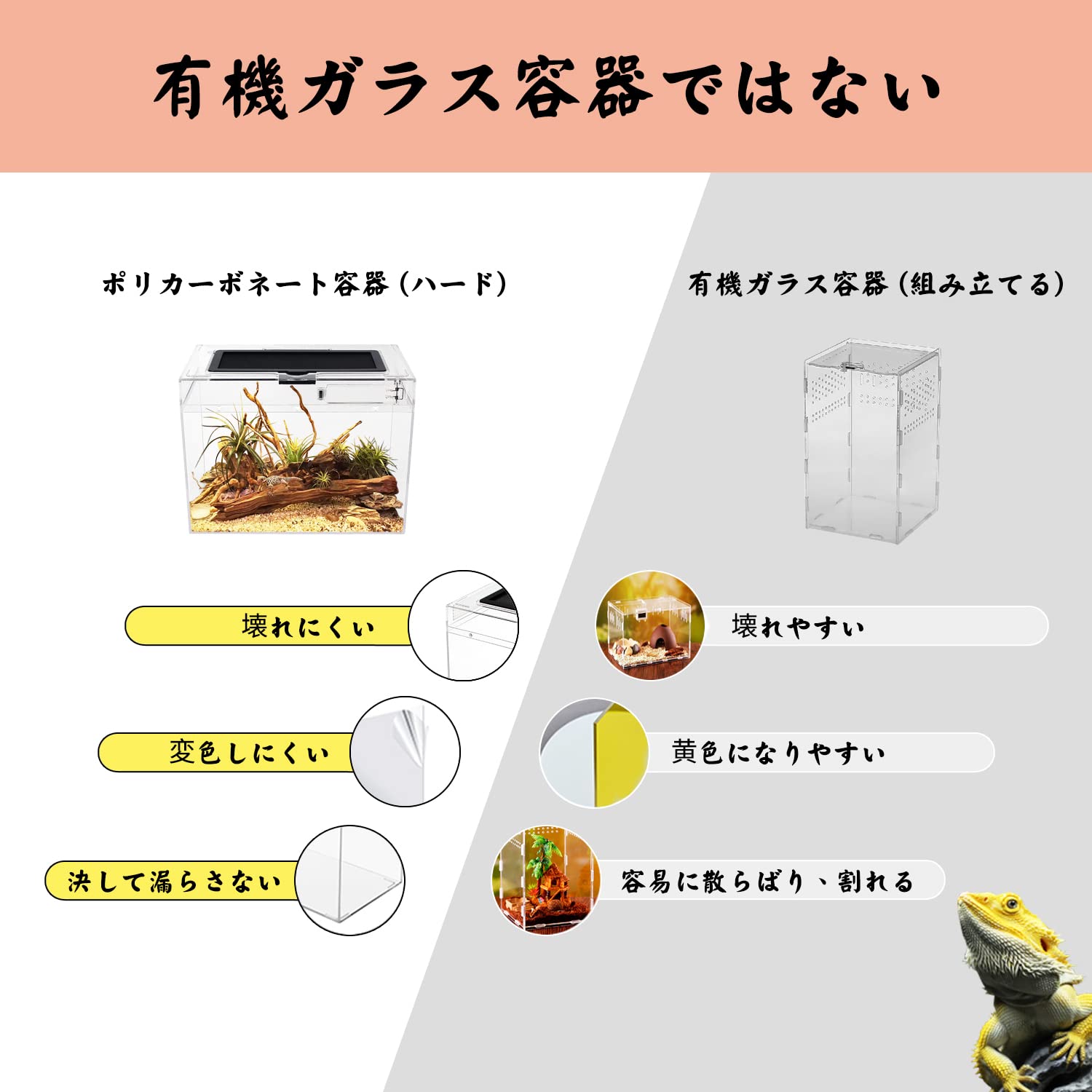 楽天市場】【送料無料】Reptile Growth 爬虫類 ケージ 透明 爬虫類