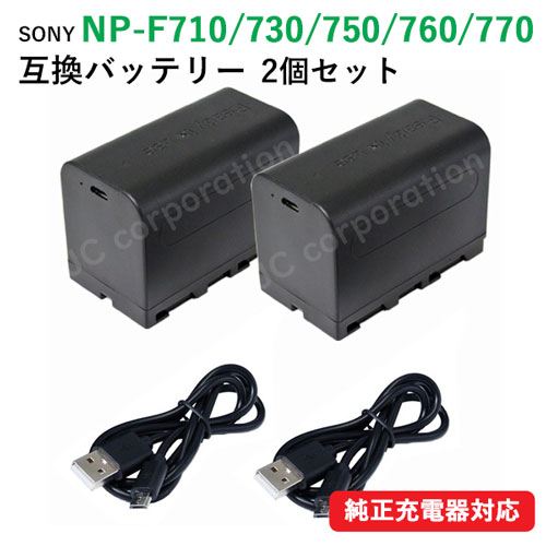 SONY NP-FV70と充電器、メッシュポーチのセット Amazon | SONY