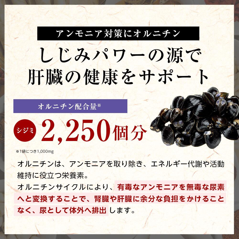 楽天市場】【腎臓】和漢みらいのドッグフード 特別療法食（1kg×1袋）＋