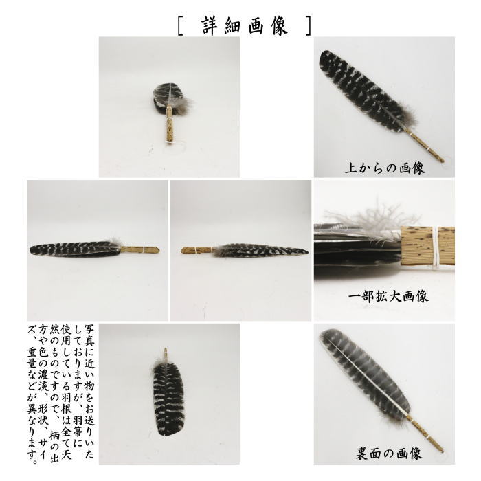 楽天市場】【茶器/茶道具 炭道具】 羽箒 唐国鳥 炉用 : いまや茶の湯