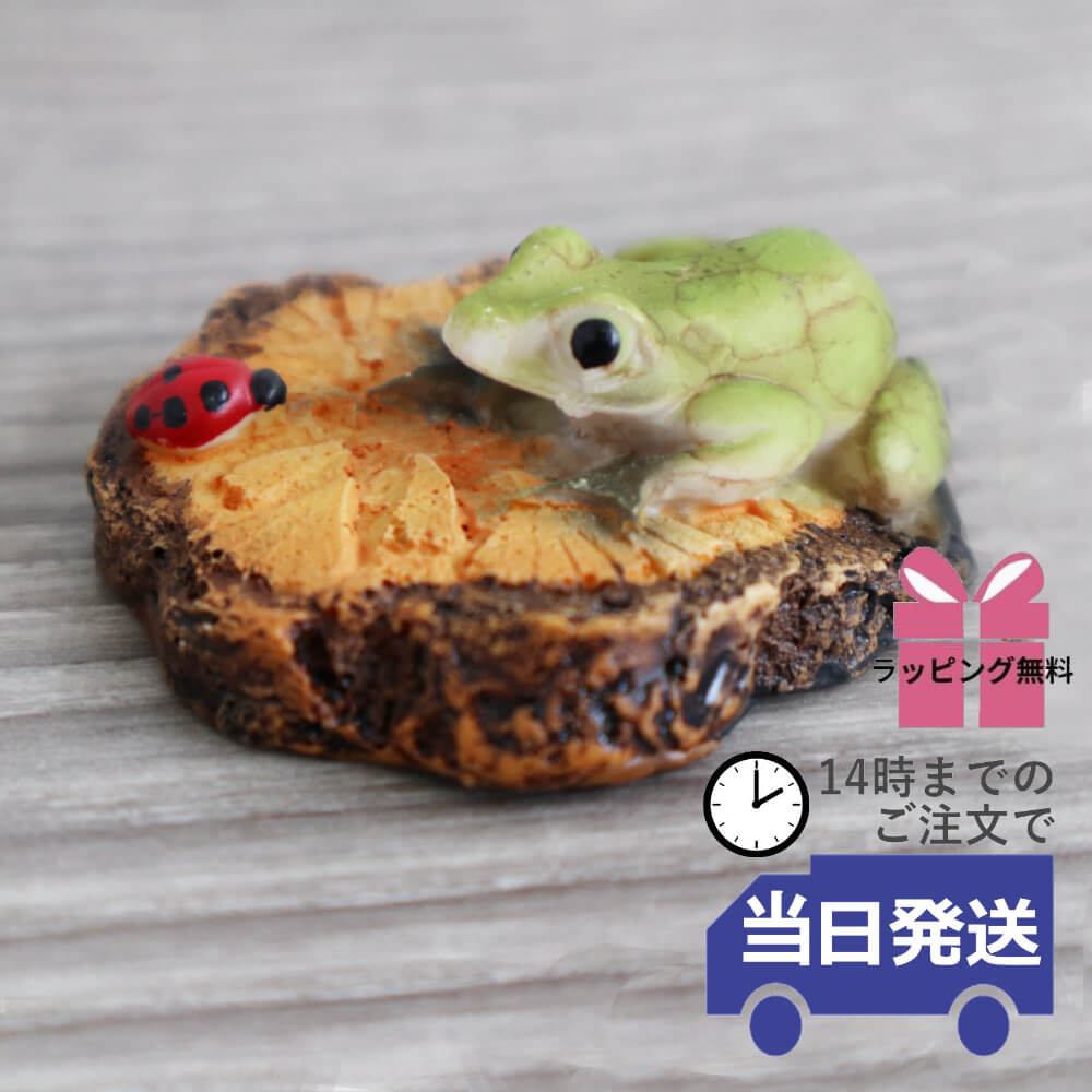 楽天市場】【当日発送 動画あり ギフトラッピング無料】カエル 置物