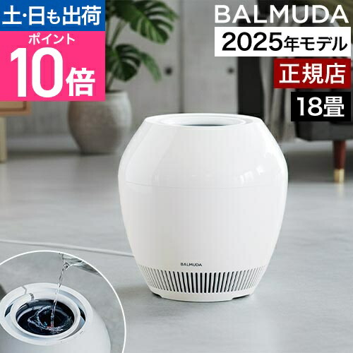 2021年製 BALMUDA バルミューダ Rain レイン 気化式加湿器 ERN-1100SD