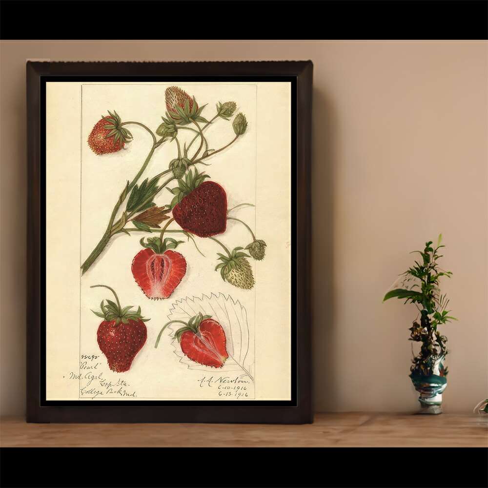 非売品】いちご打 ICHIGODA Witch B2 サイズ ポスター