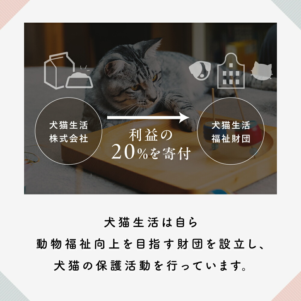 楽天市場】【最大39%OFF】犬猫生活 福袋 わんちゃん 猫ちゃん 福袋 犬