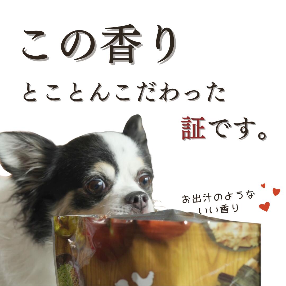 楽天市場】【公式】 ドッグフード うまか 1.5kg 小型犬 国産 チキン 華